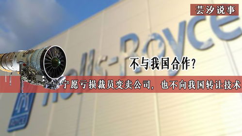 技術壁壘背后的博弈 當合作遇冷，企業走向何方？